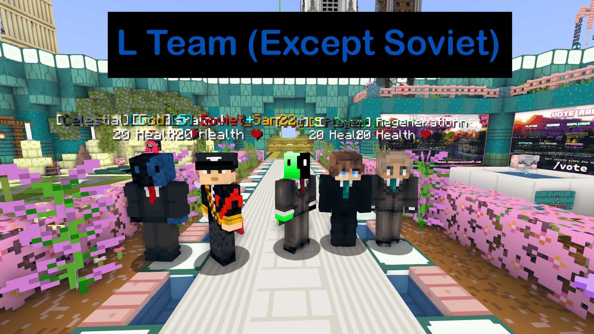 L_team